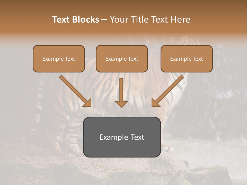 Striped Tiger PowerPoint Template