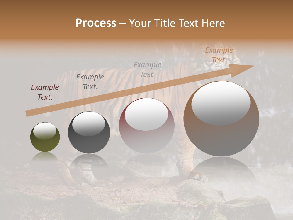 Striped Tiger PowerPoint Template