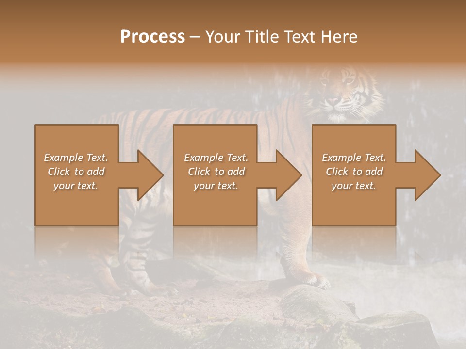 Striped Tiger PowerPoint Template