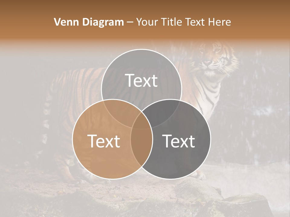 Striped Tiger PowerPoint Template