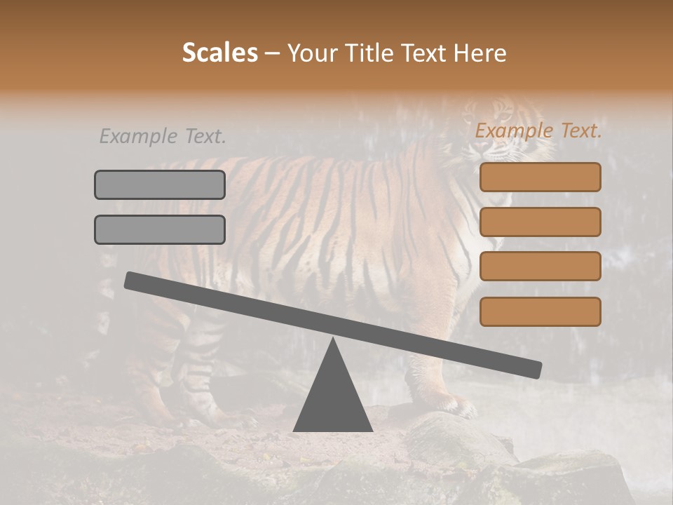 Striped Tiger PowerPoint Template