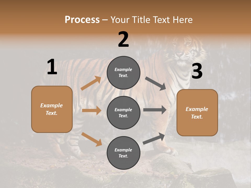 Striped Tiger PowerPoint Template