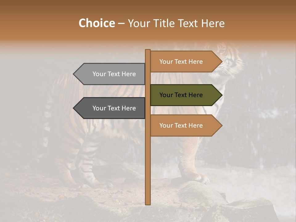 Striped Tiger PowerPoint Template