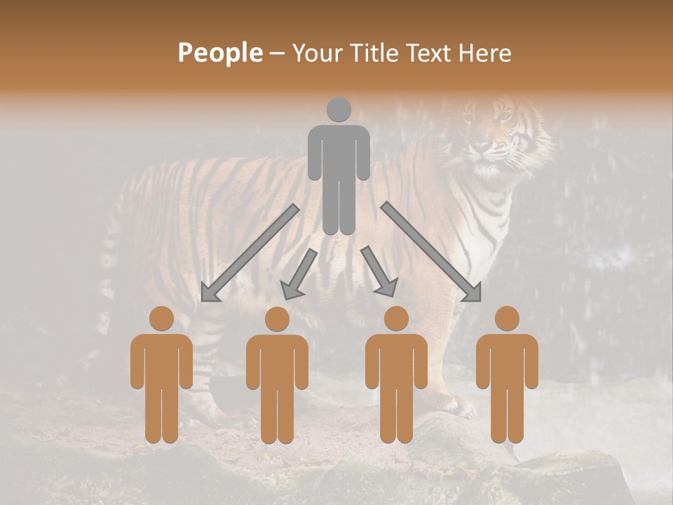 Striped Tiger PowerPoint Template