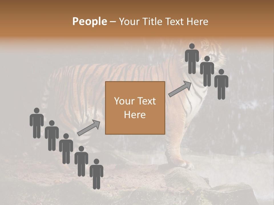 Striped Tiger PowerPoint Template