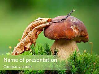 Mushroom PowerPoint Template