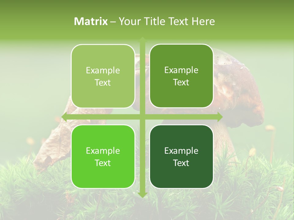 Mushroom PowerPoint Template