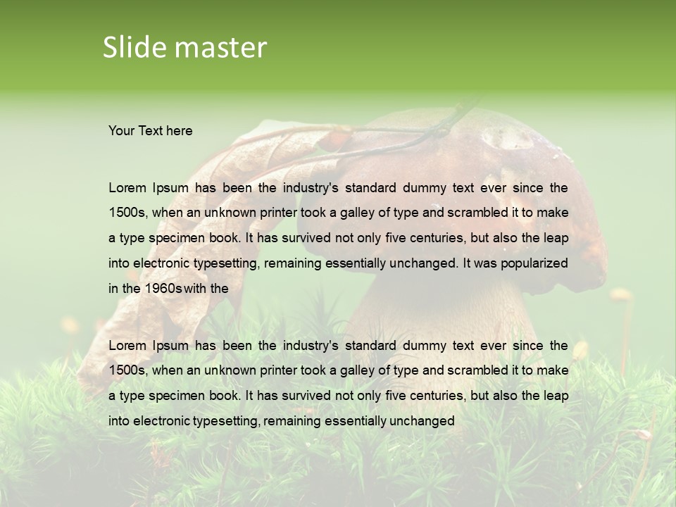 Mushroom PowerPoint Template