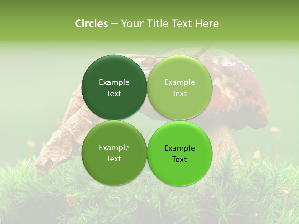 Mushroom PowerPoint Template
