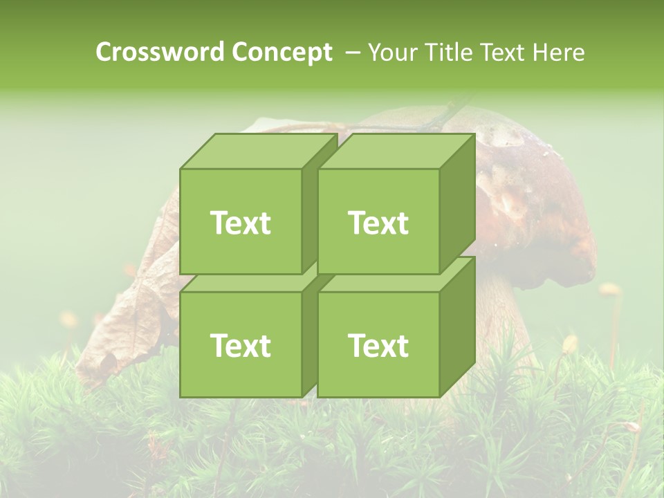 Mushroom PowerPoint Template