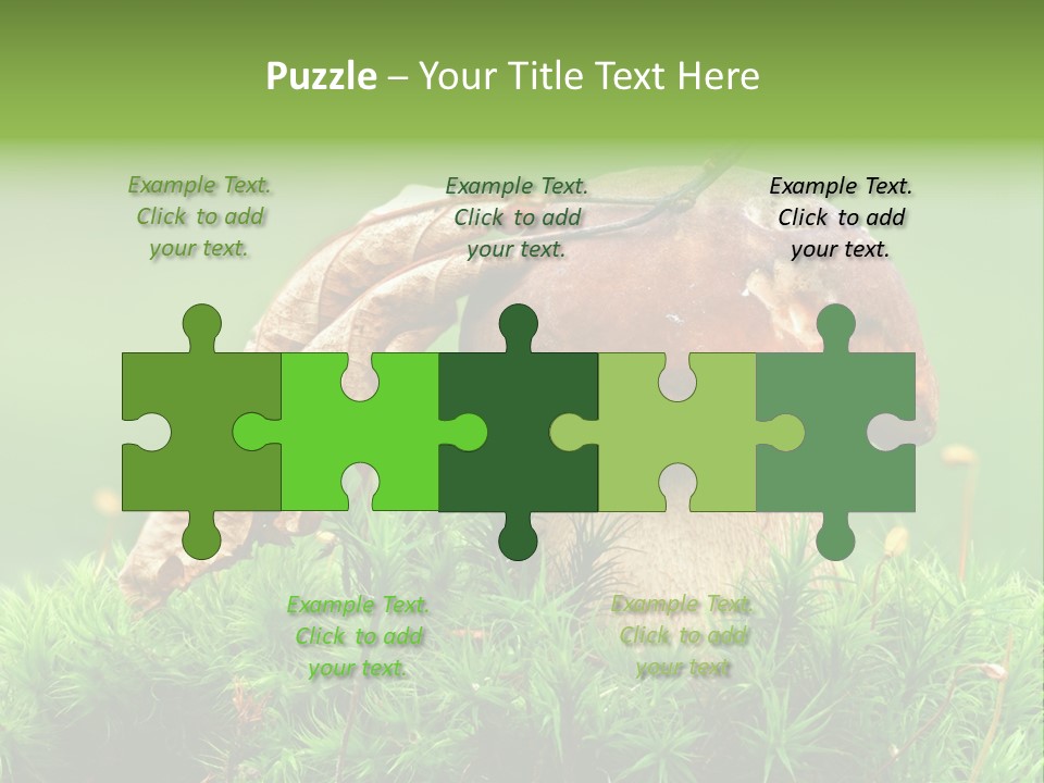 Mushroom PowerPoint Template