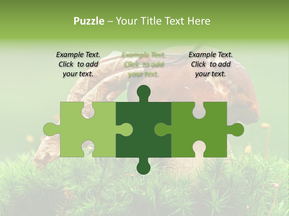 Mushroom PowerPoint Template