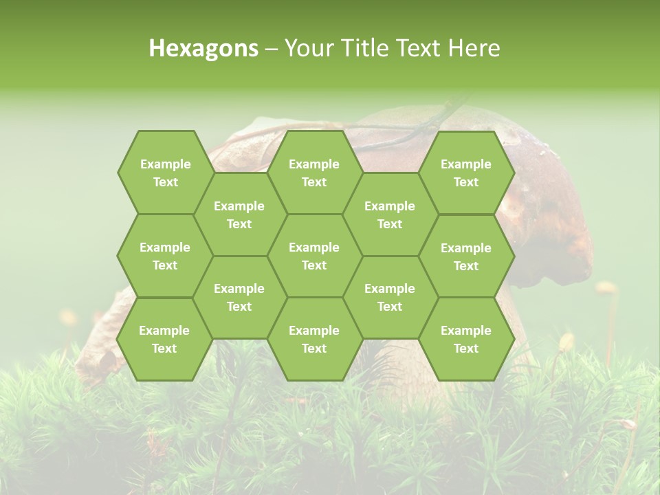 Mushroom PowerPoint Template