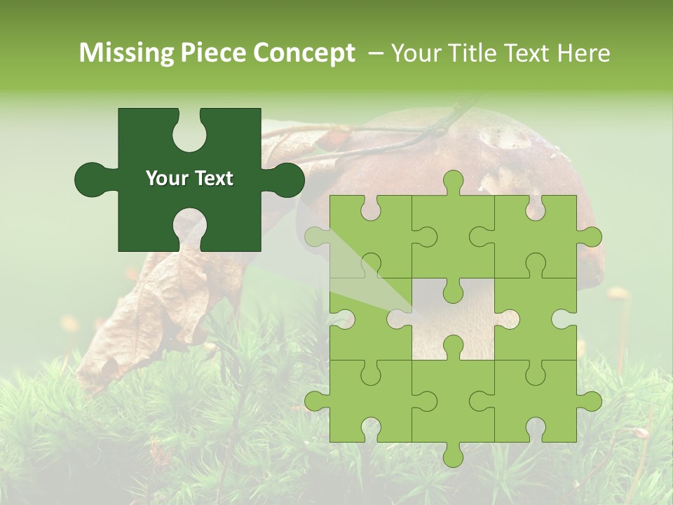 Mushroom PowerPoint Template