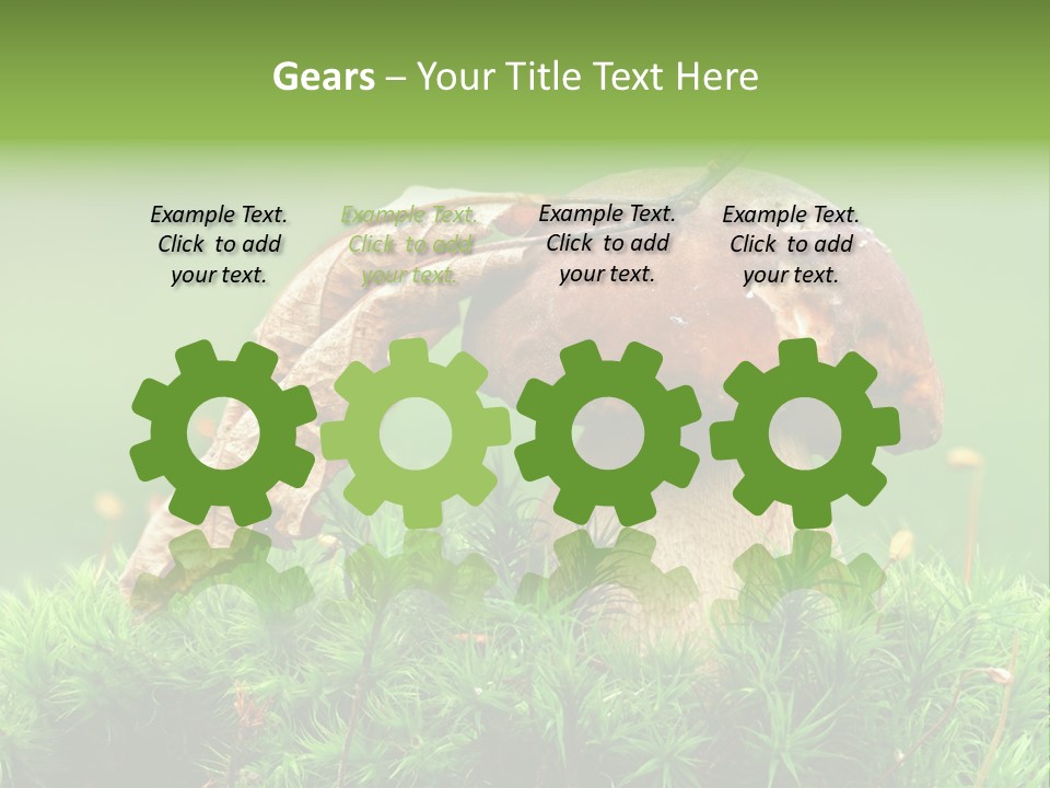 Mushroom PowerPoint Template