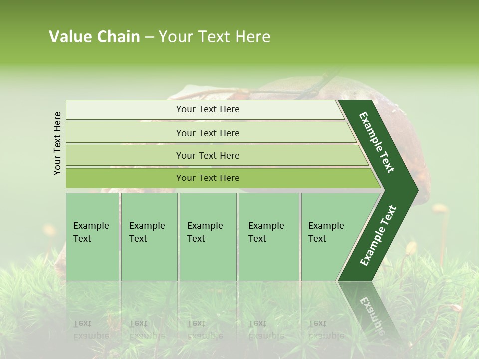 Mushroom PowerPoint Template