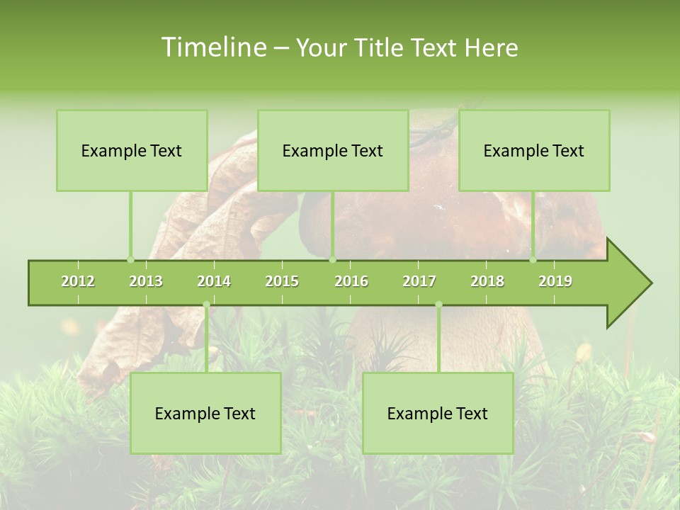 Mushroom PowerPoint Template