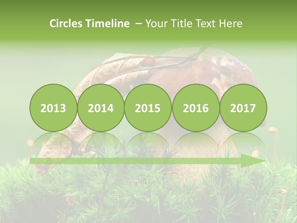 Mushroom PowerPoint Template