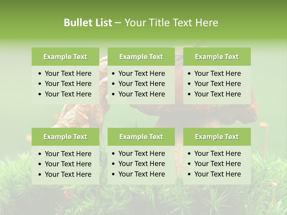 Mushroom PowerPoint Template