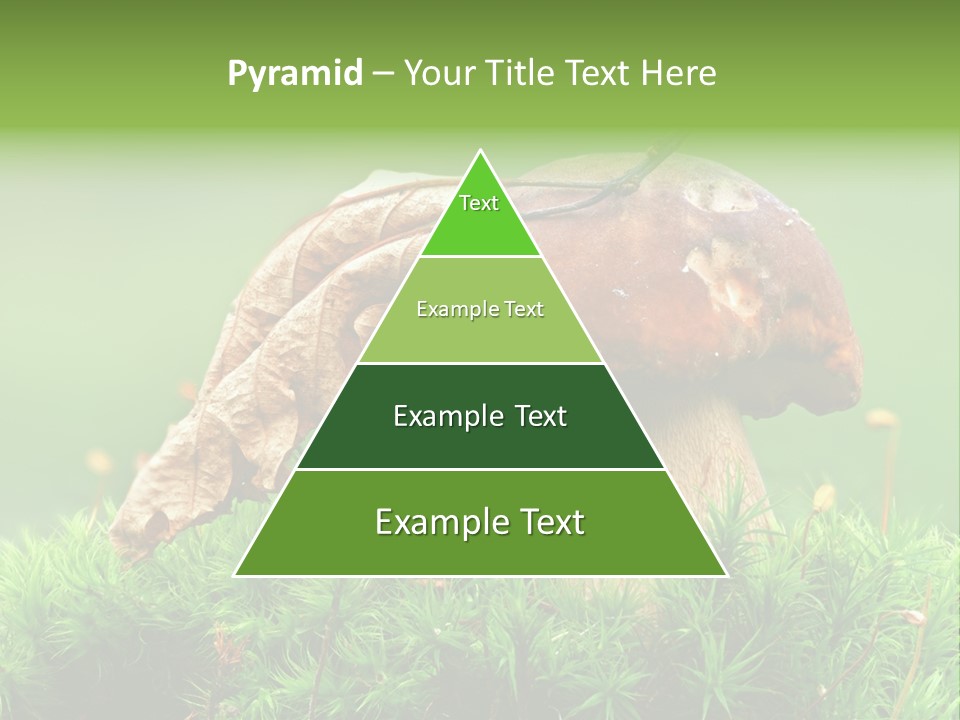 Mushroom PowerPoint Template