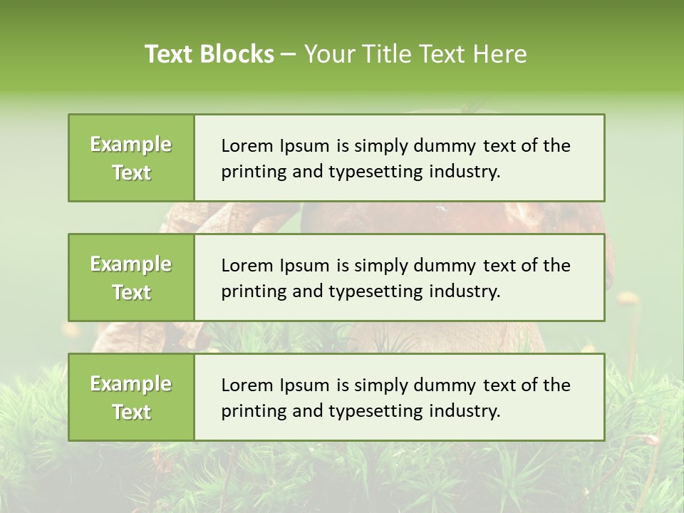 Mushroom PowerPoint Template