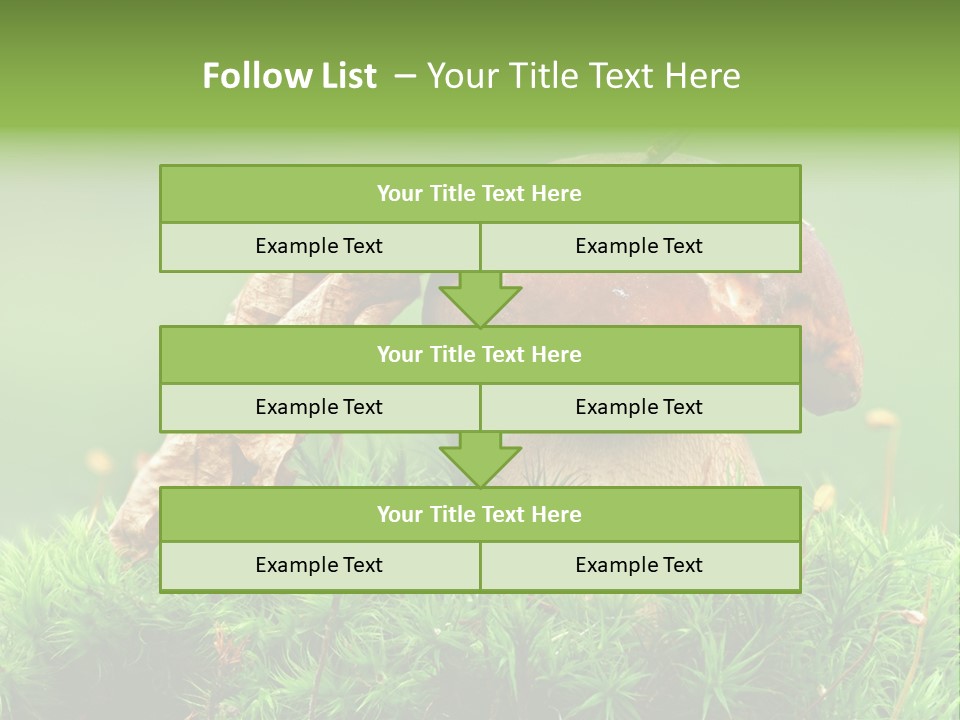 Mushroom PowerPoint Template