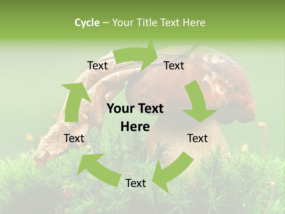 Mushroom PowerPoint Template