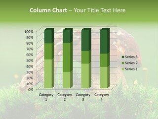 Mushroom PowerPoint Template