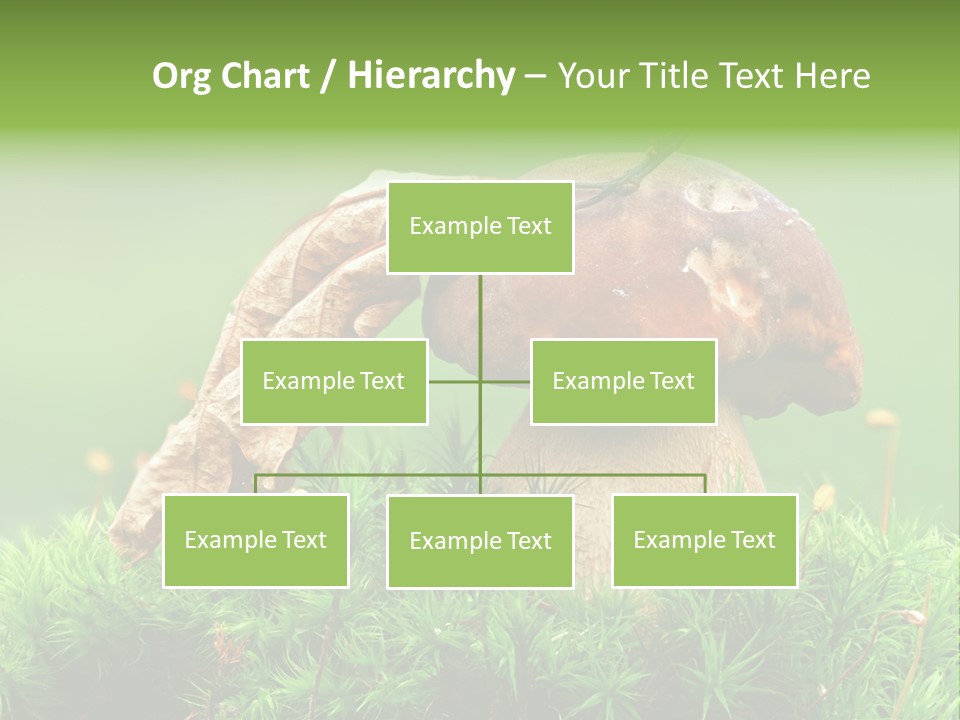 Mushroom PowerPoint Template