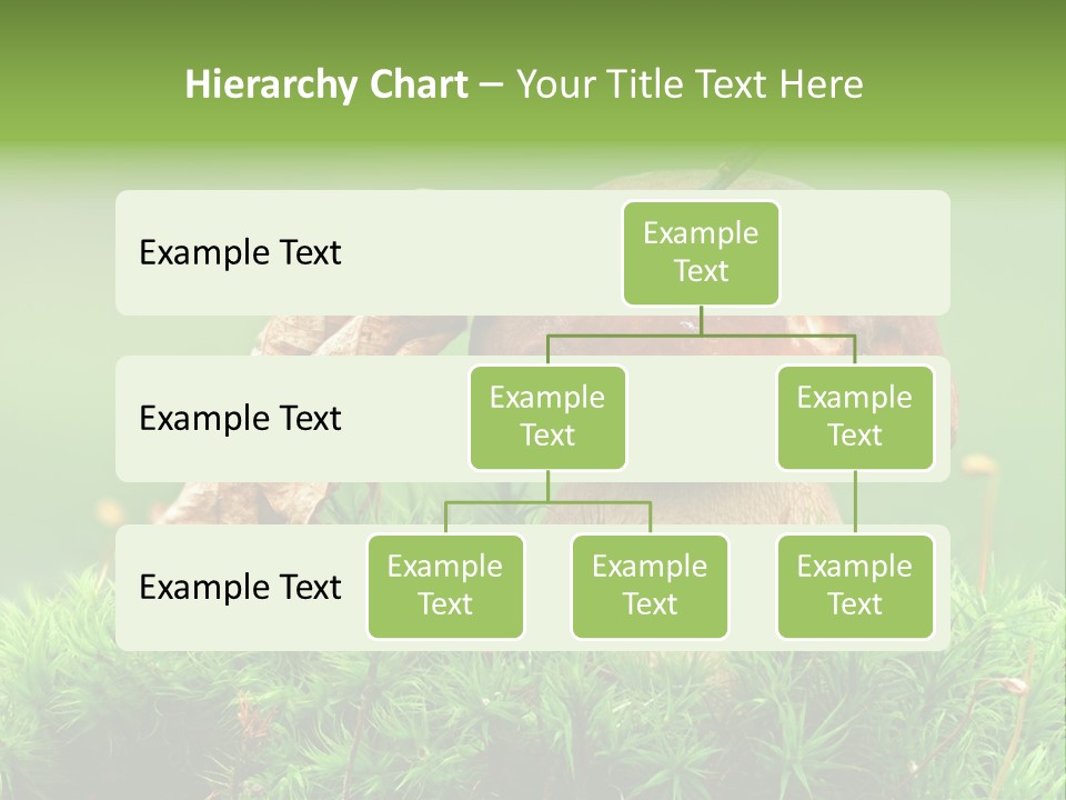Mushroom PowerPoint Template