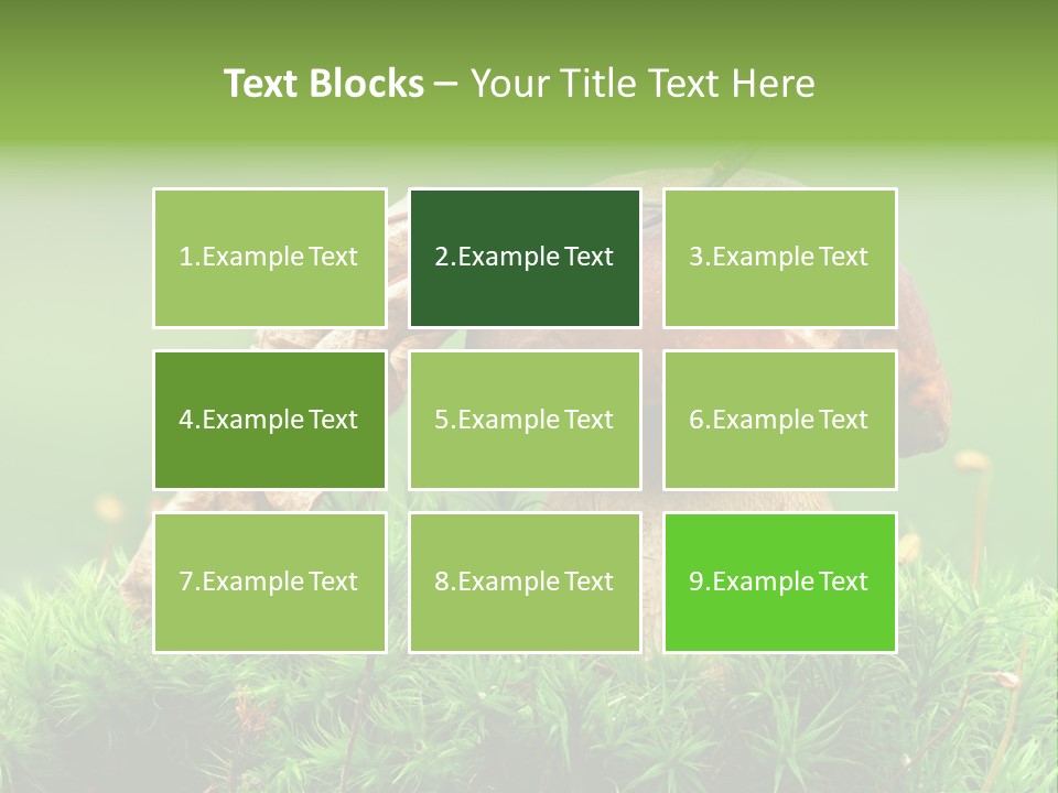 Mushroom PowerPoint Template