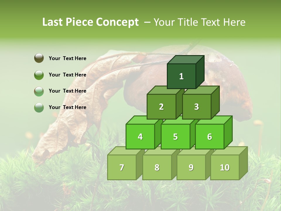 Mushroom PowerPoint Template