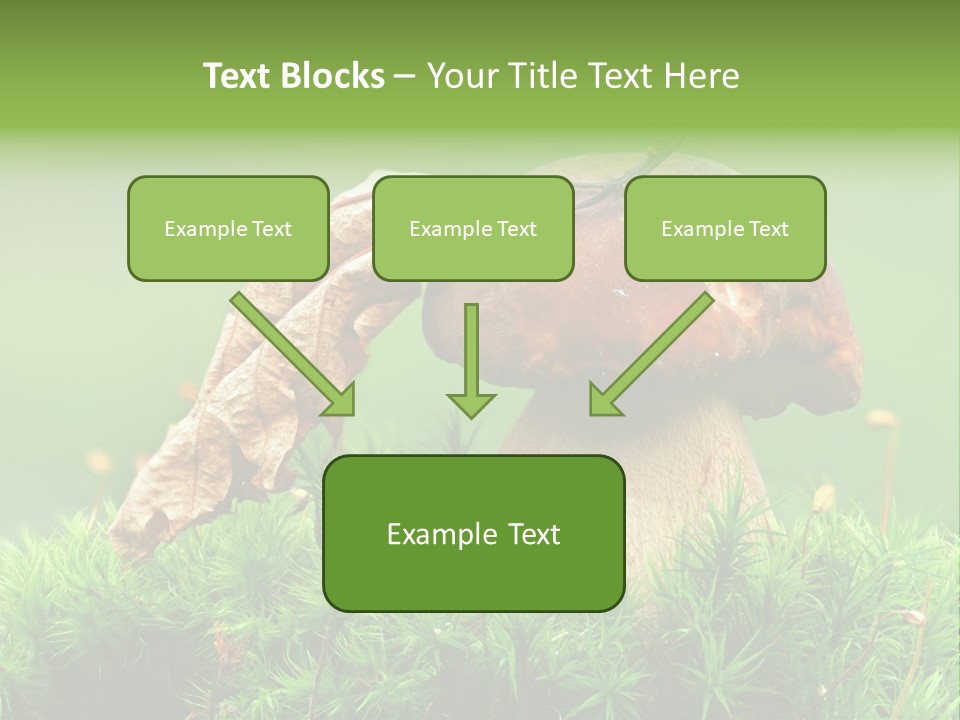 Mushroom PowerPoint Template