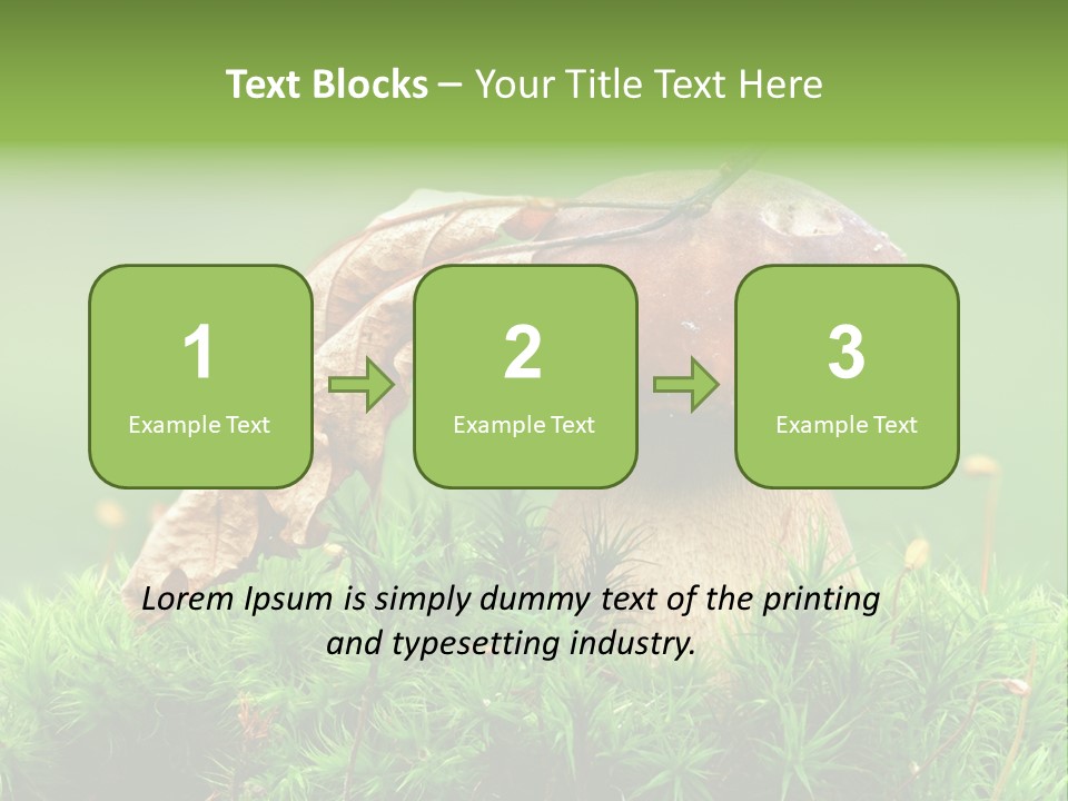 Mushroom PowerPoint Template