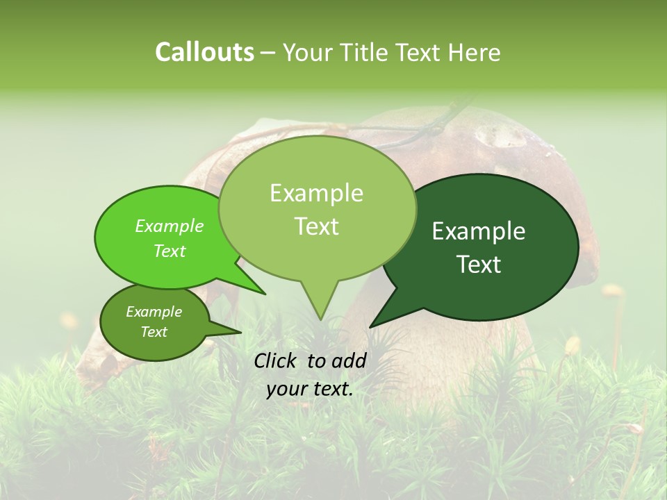 Mushroom PowerPoint Template