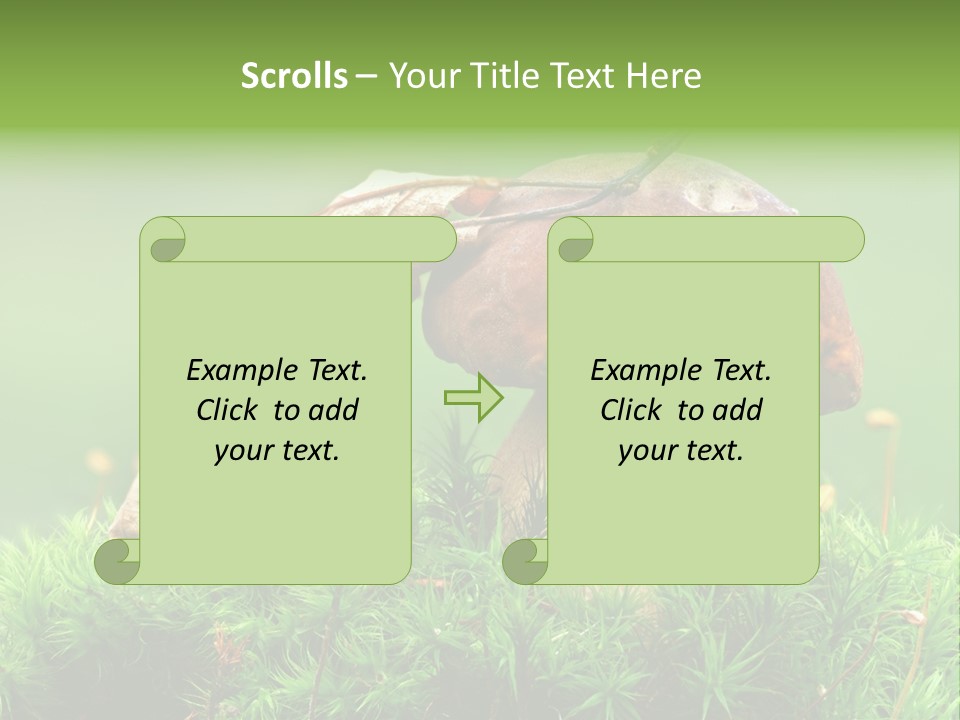 Mushroom PowerPoint Template