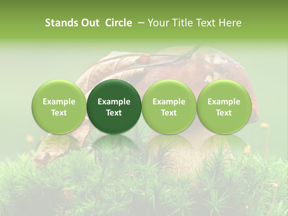 Mushroom PowerPoint Template