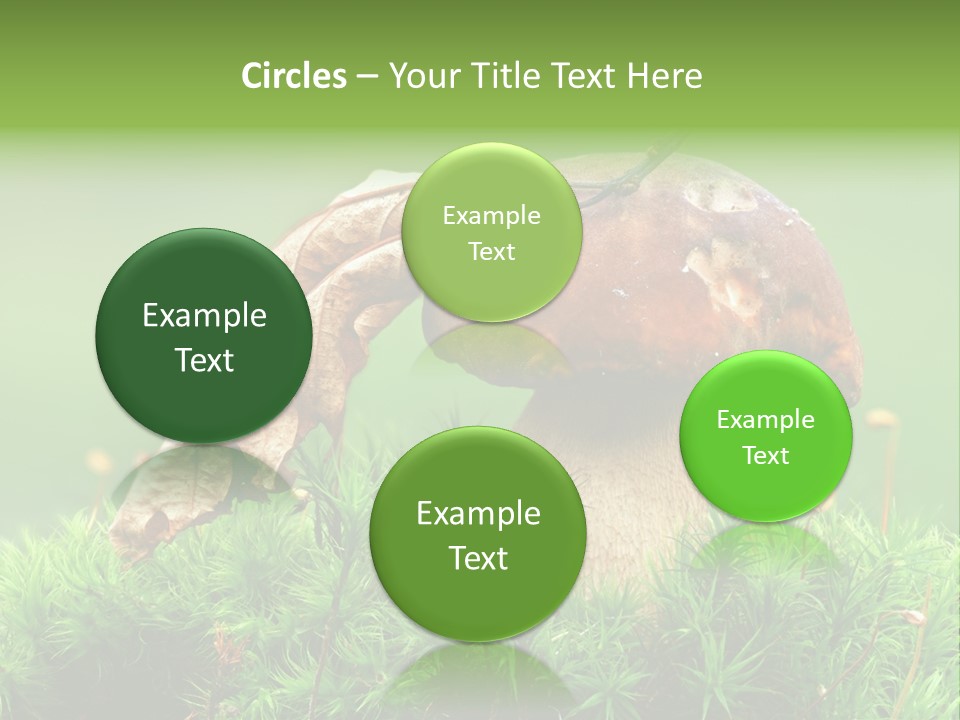 Mushroom PowerPoint Template