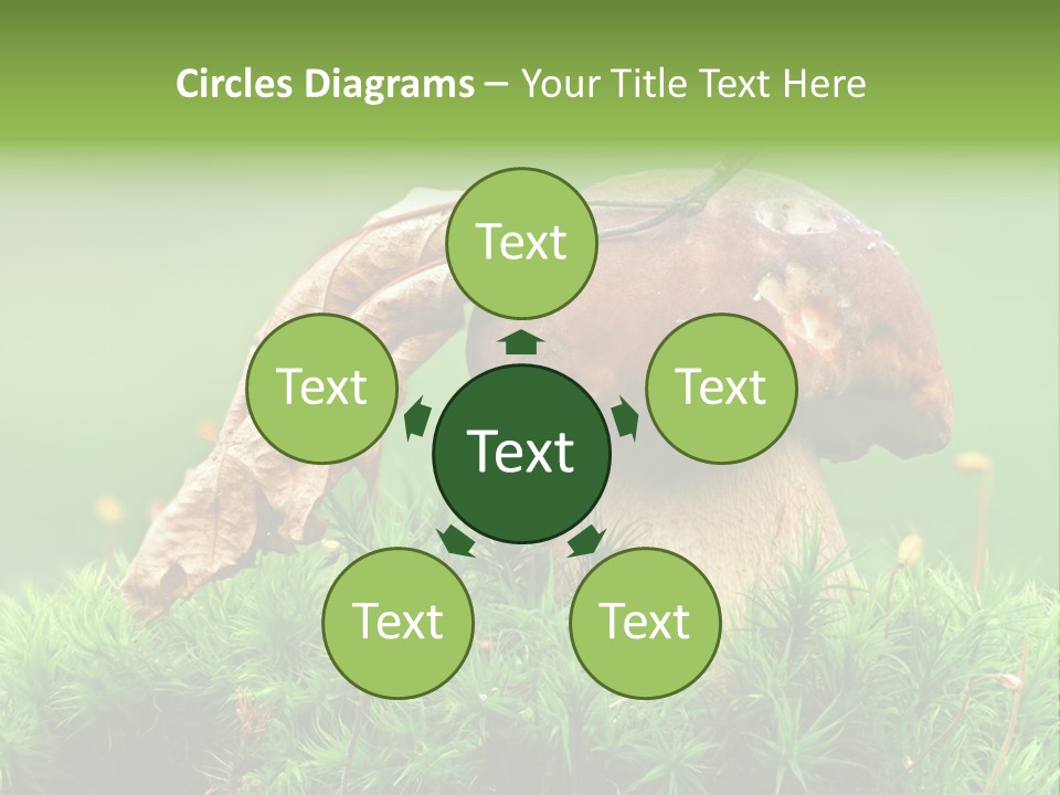 Mushroom PowerPoint Template