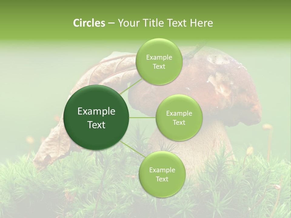 Mushroom PowerPoint Template