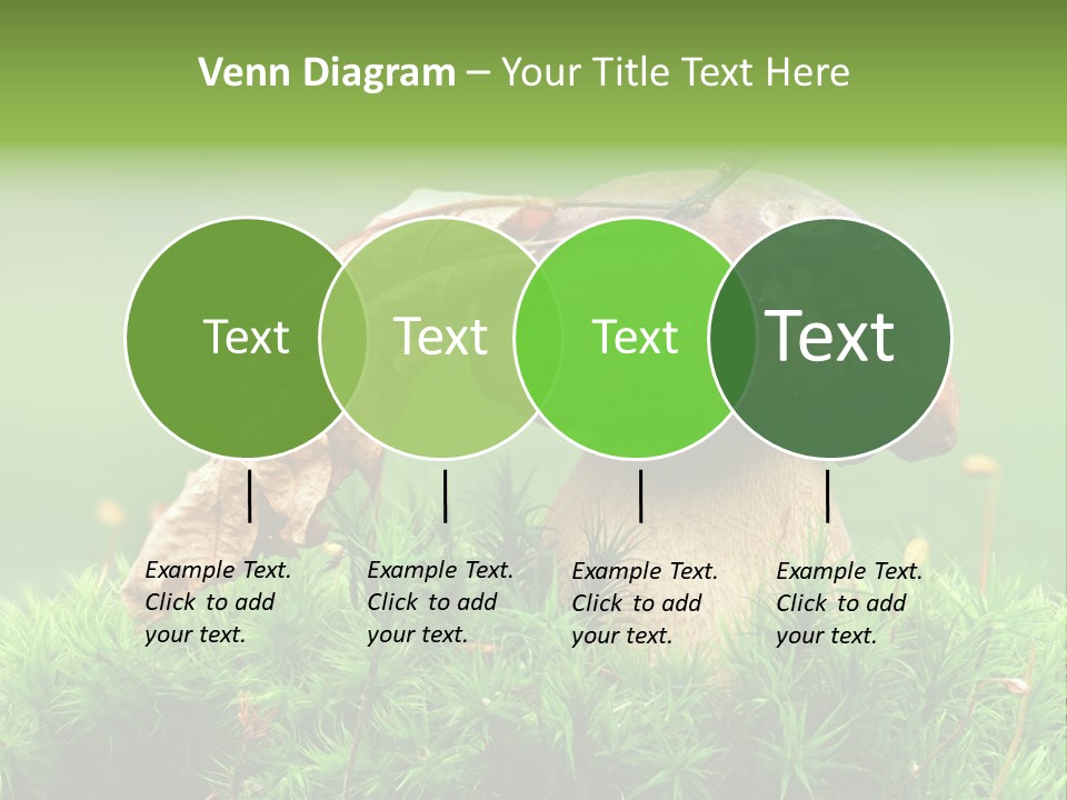 Mushroom PowerPoint Template
