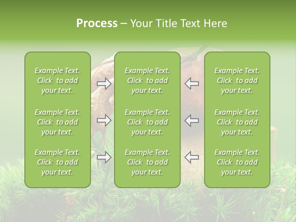 Mushroom PowerPoint Template