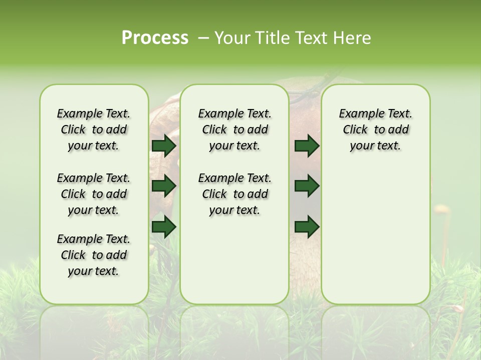 Mushroom PowerPoint Template