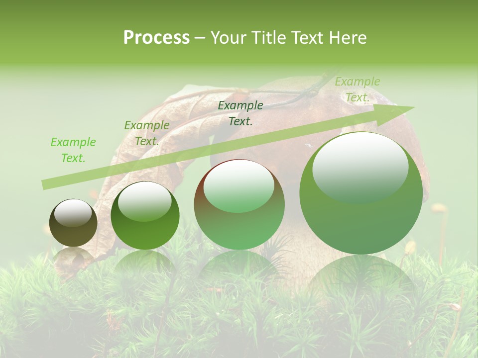 Mushroom PowerPoint Template