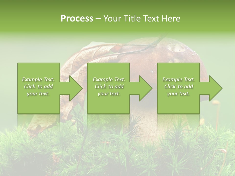 Mushroom PowerPoint Template