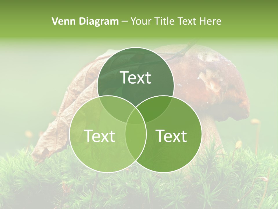 Mushroom PowerPoint Template