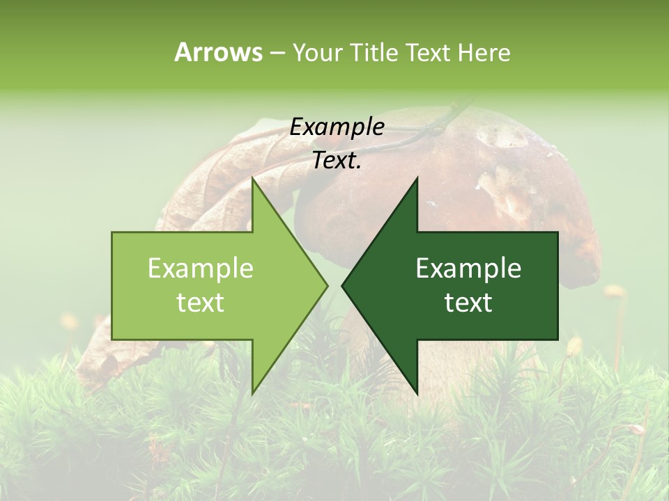 Mushroom PowerPoint Template