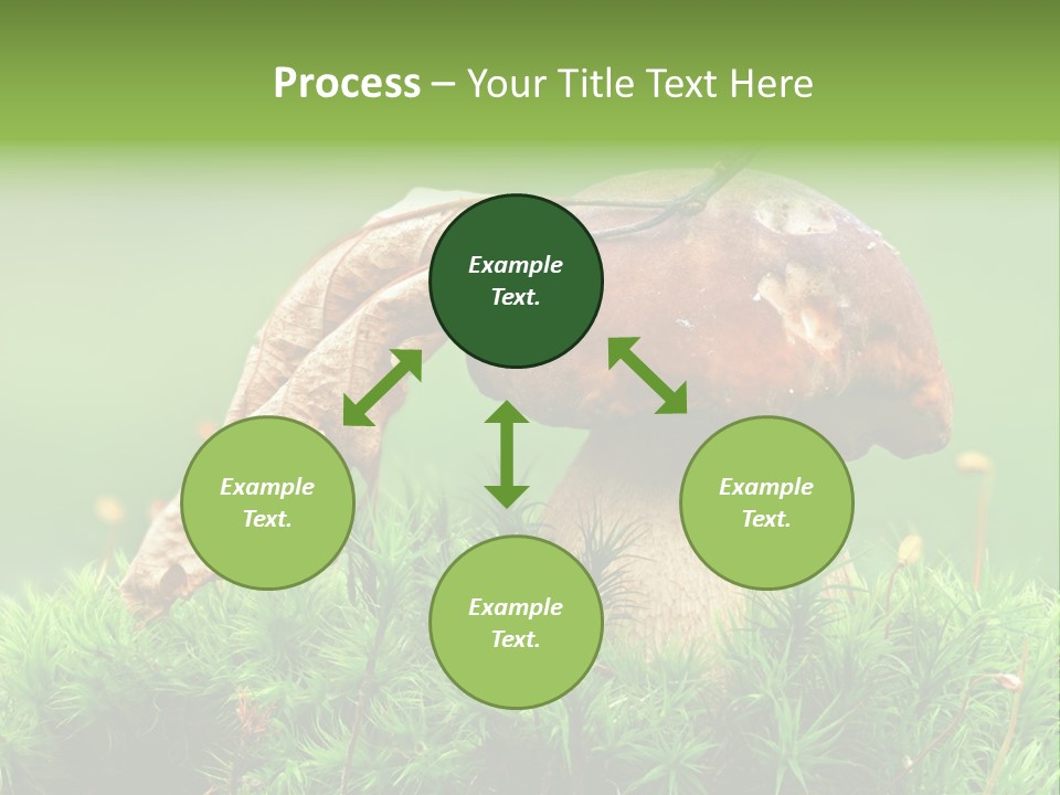 Mushroom PowerPoint Template