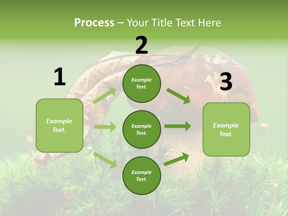 Mushroom PowerPoint Template