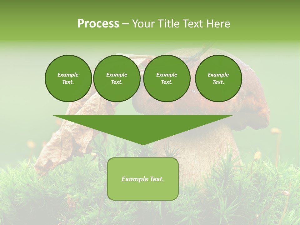 Mushroom PowerPoint Template